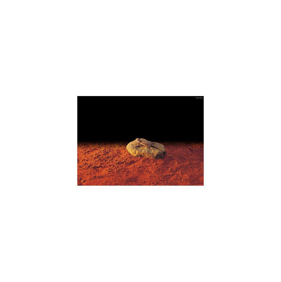 EXOTERRA - Heated Stone S15.5X10Cm 5W - (225.2000)