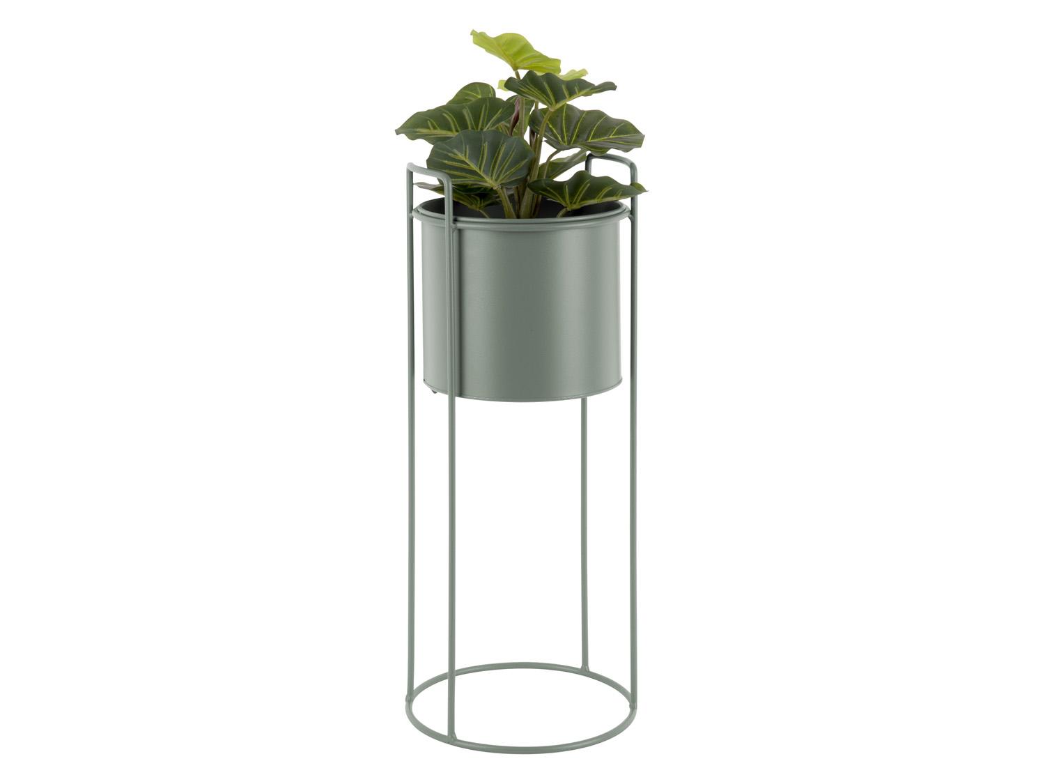 Plant pot set Essence round iron jungle green