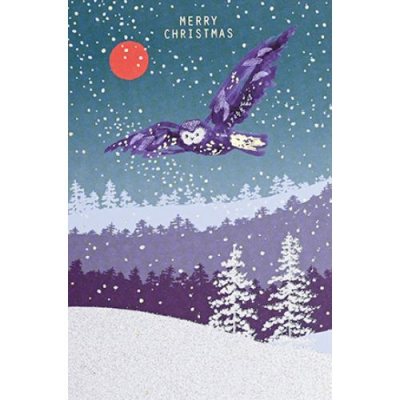 Owl in the Snow
