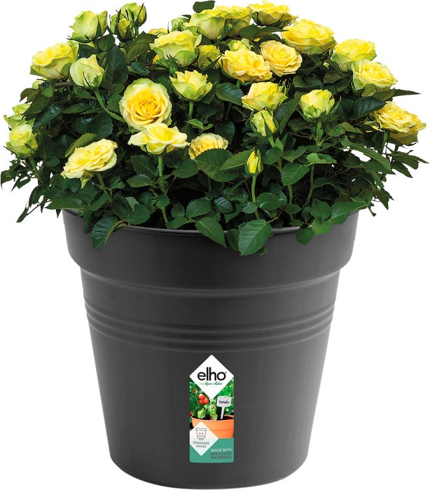 Elho kweekbak Green Basics zwart D 40 H 37 cm