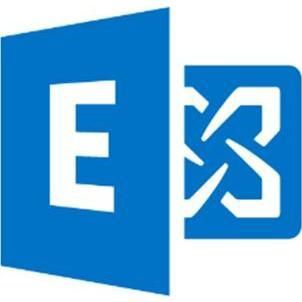 Microsoft MS OVS ES L&SA ExchangeStandard CAL AllLng L&SA Academic OLV 1License LevelF Enterprise Usr CAL 1Yea voor Windows