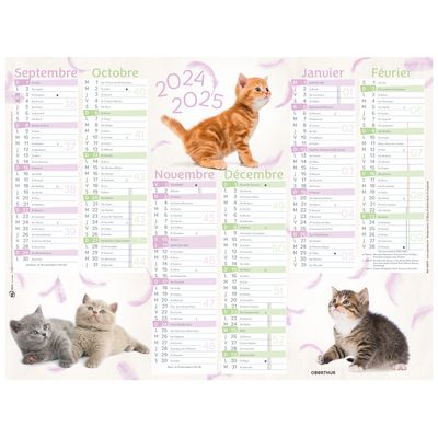 Calendrier Chaton - 6 mois par face - 40,5 x 55 cm - Oberthur