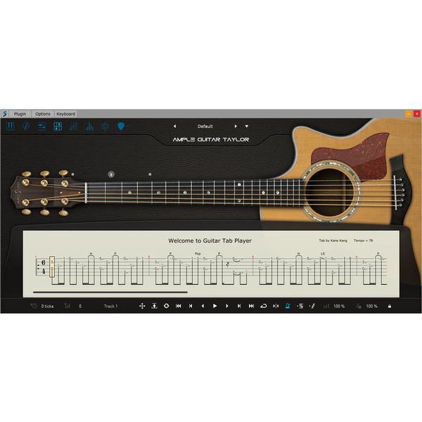 Ample Sound Ample Guitar T II