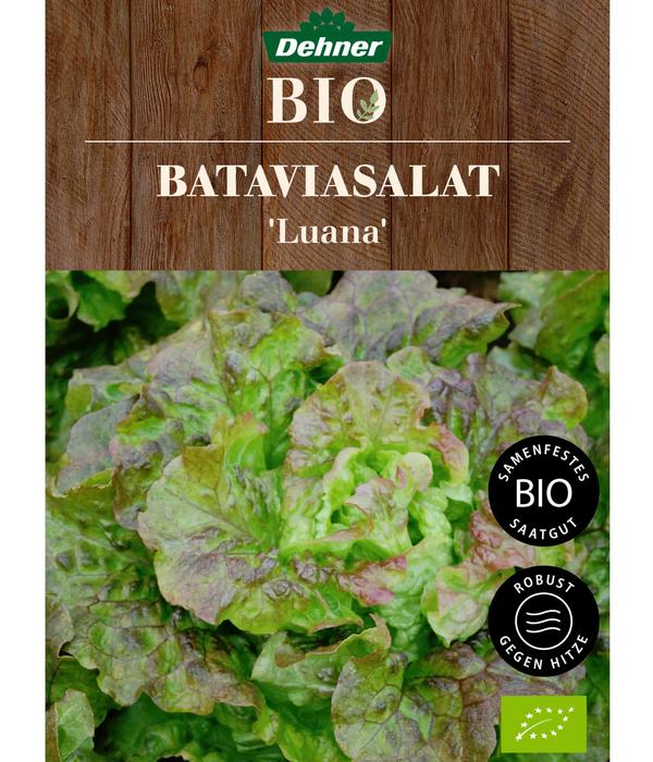 Dehner Bio-Saatgut Bataviasalat 'Luana'