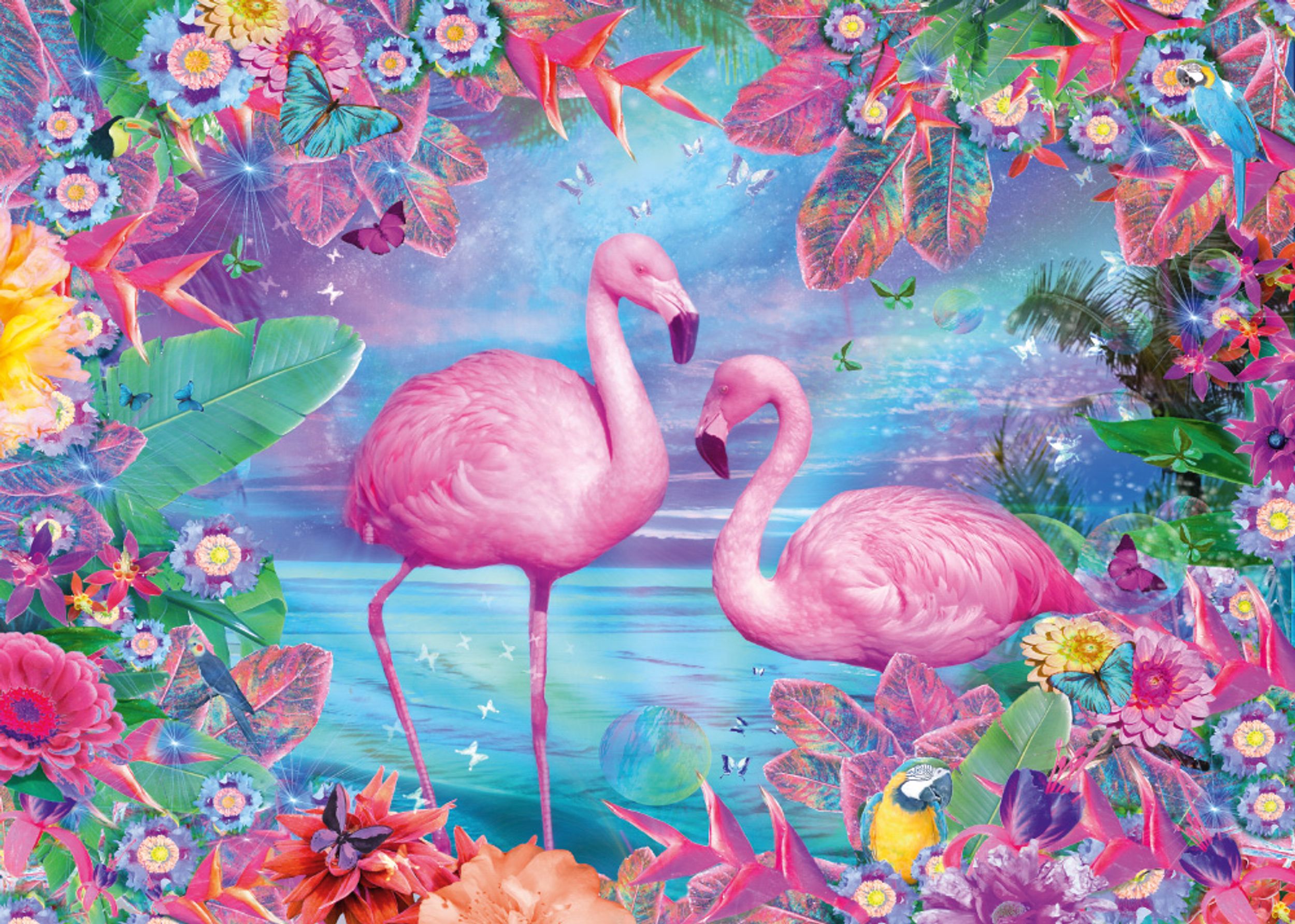 Flamingos