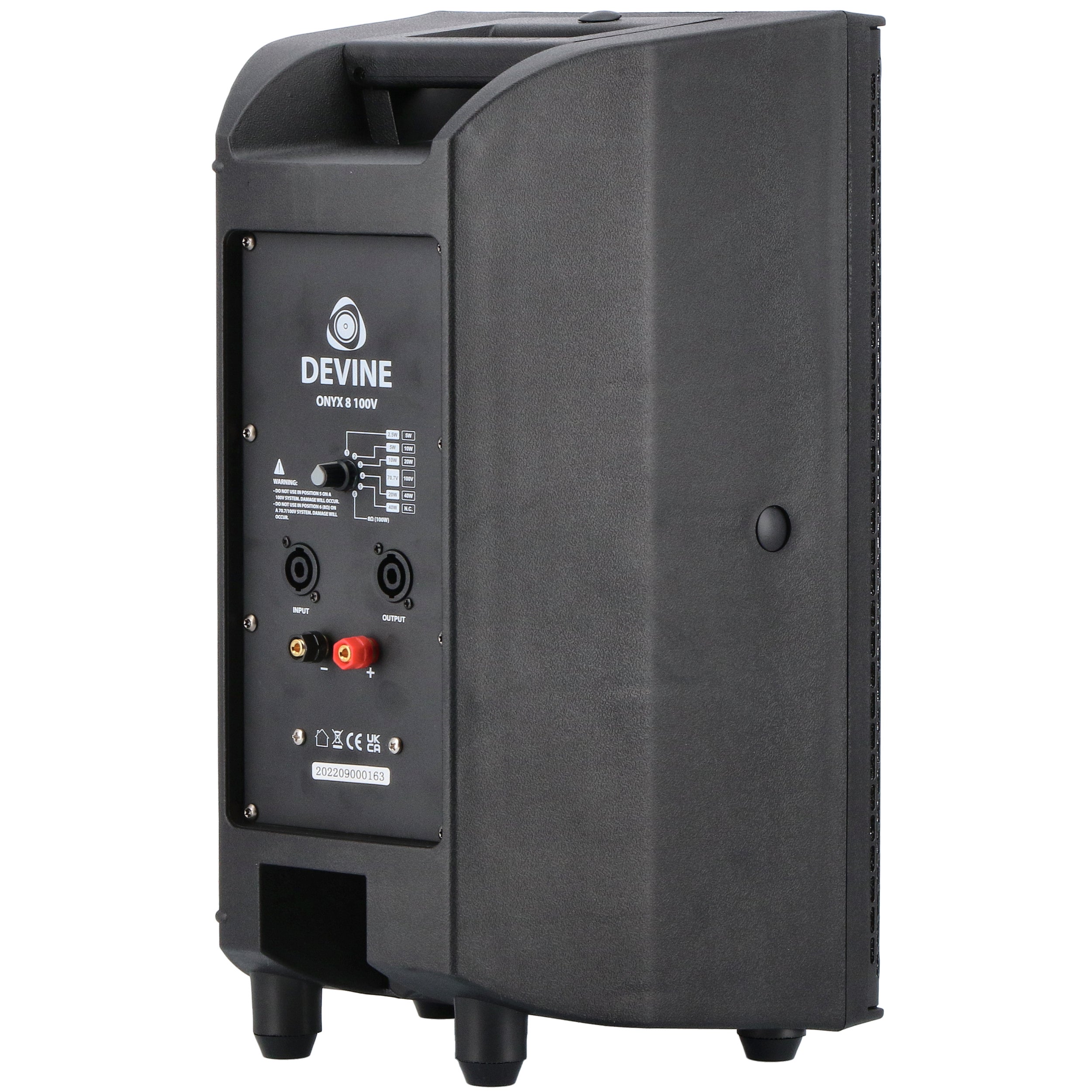 Devine Onyx 8 100V passieve luidspreker