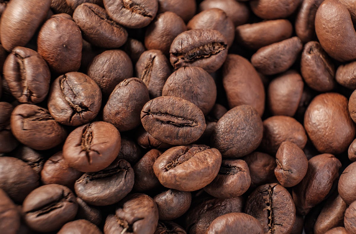 Online Baristakurs mit Nicole Battefeld