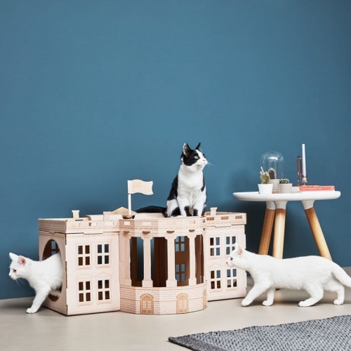 Pontos turísticos Casa Branca Gato Cocô Marrom/Branco