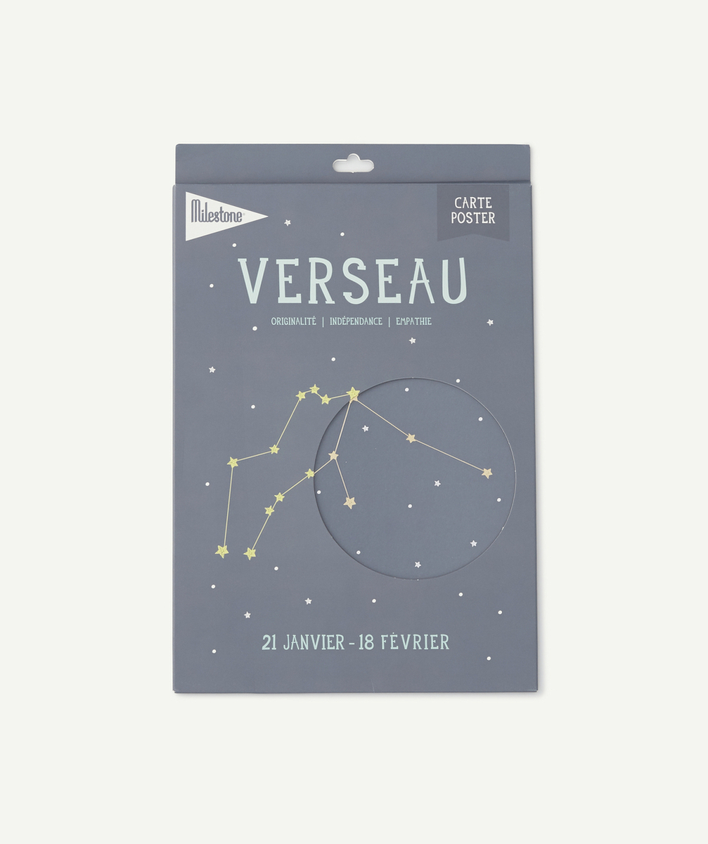 MILESTONECARTE POSTER ZODIAC VERSEAU BÉBÉ
