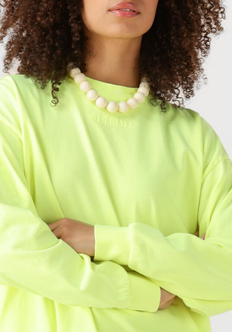 lime stieglitz top basic skate longsleeve
