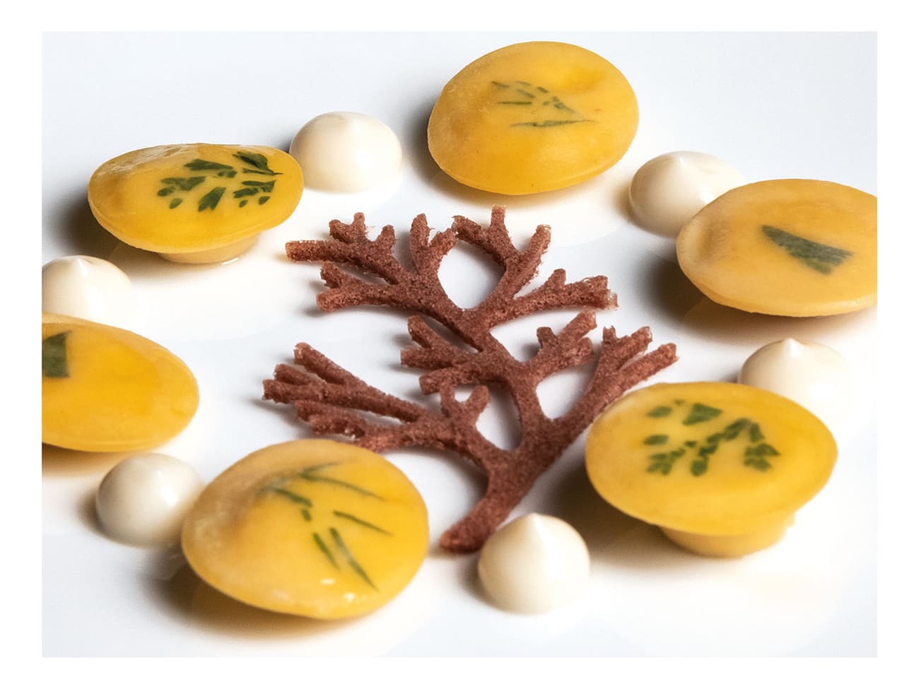 Moule silicone - Branche d'arbre - 30 x 20 cm - Pavoni