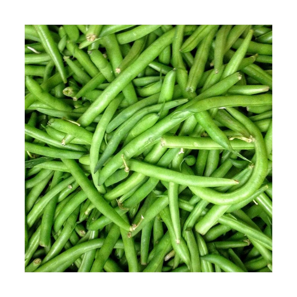 Graines de haricot nain mangetout contender/phaseolus vulgaris nain mangetout contender[-]sachet de 80 gr.