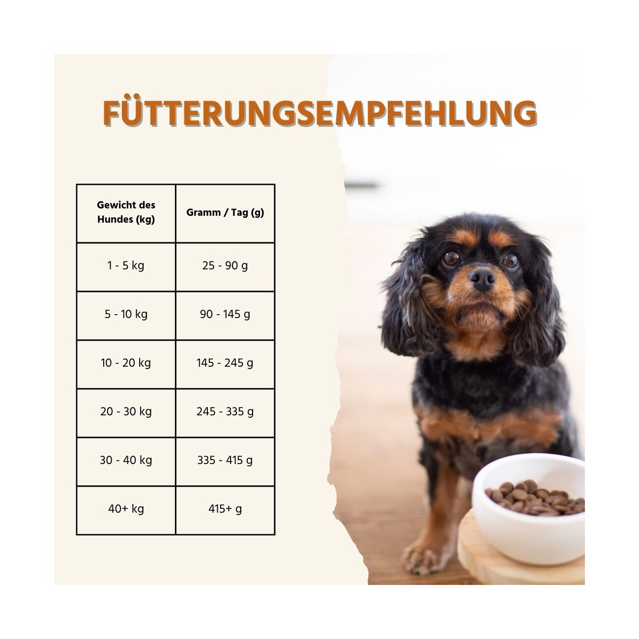 Wildfang Genussbox Adult - Trocken- & Nassfutter Huhn Lamm