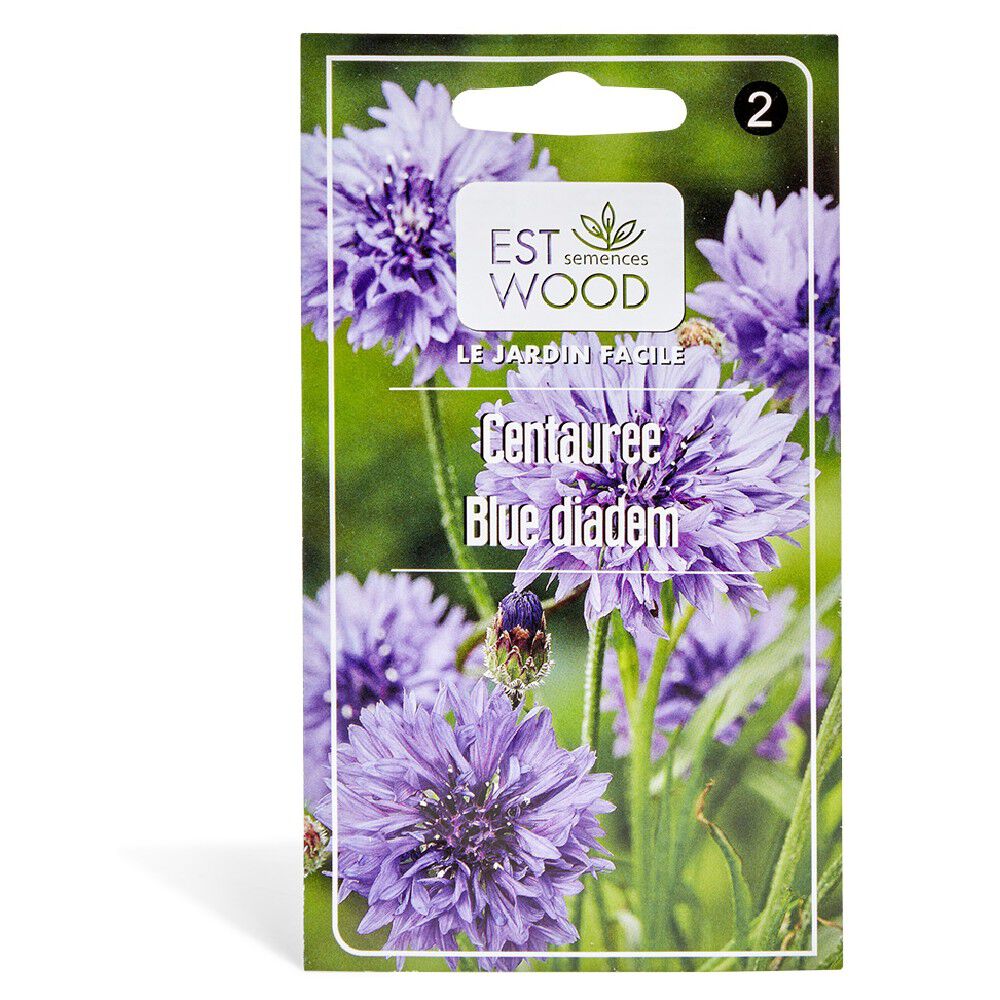 Semence de bleuet