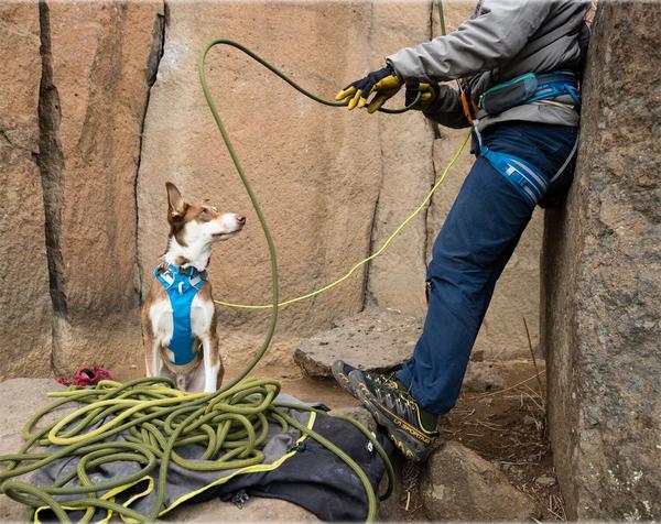 RUFFWEAR® Hundegeschirr Flagline Harness 2.0