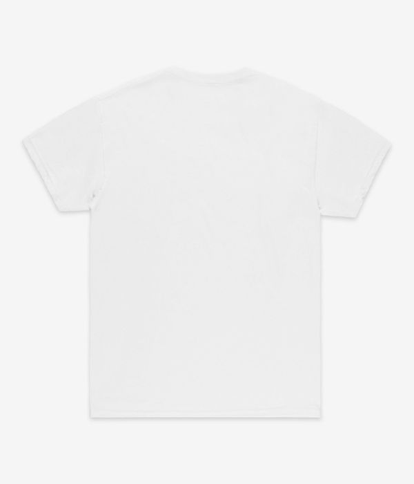 Thrasher x Anti Hero Cover The Earth T-Shirt (white)