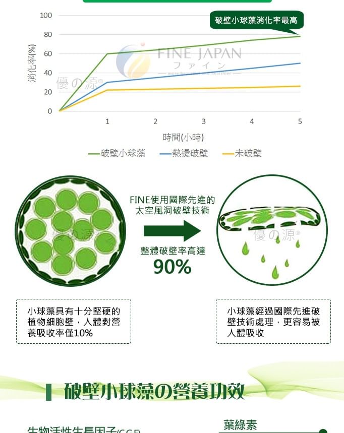 FINE JAPAN - Chlorella Tabletten