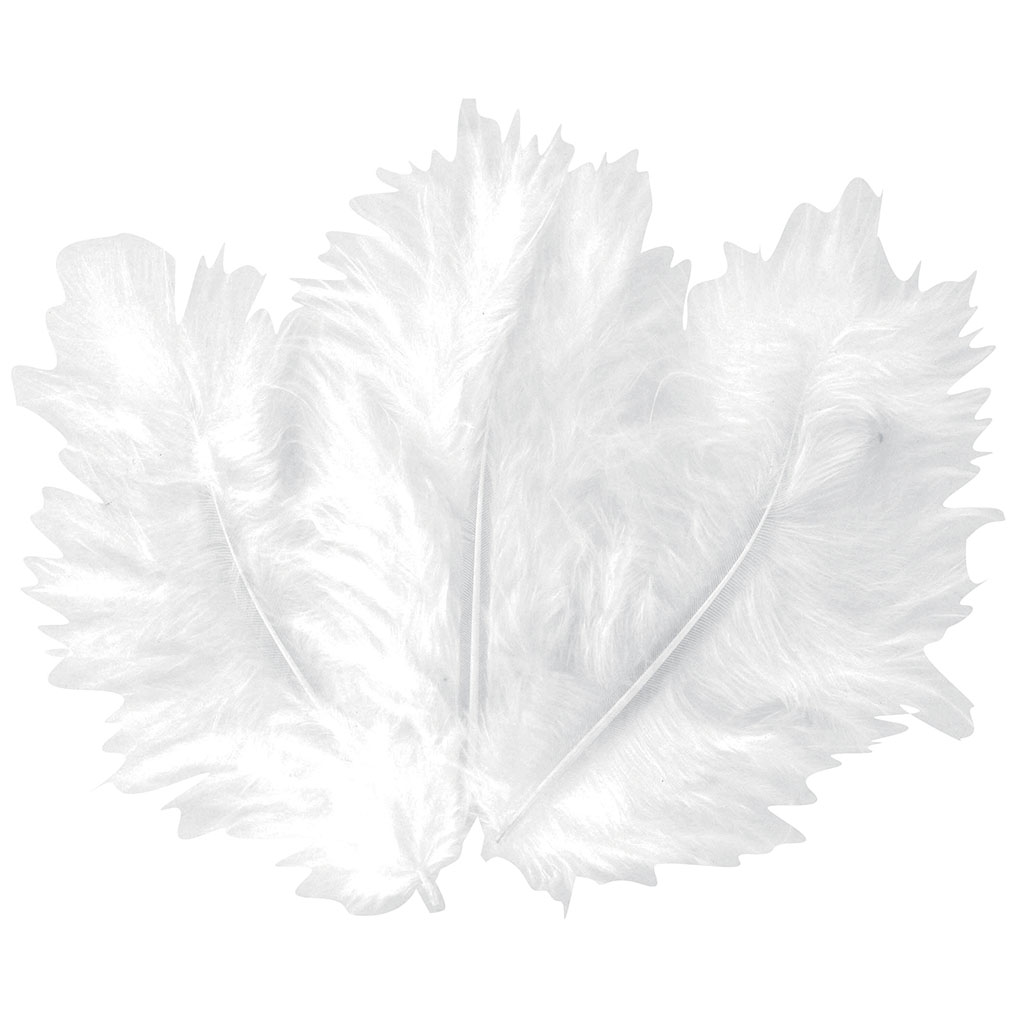 Lot de 50 plumes blanches