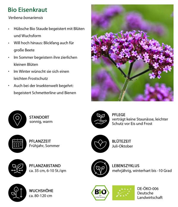 Bio Stauden-Set Bunter Landhausgarten,