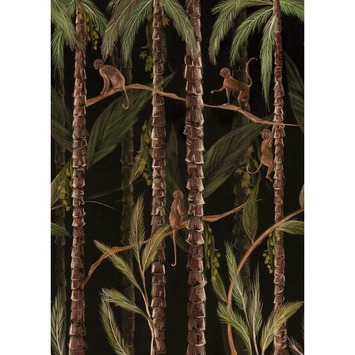 Fotobehang monkey jungle (dessin 107341)
