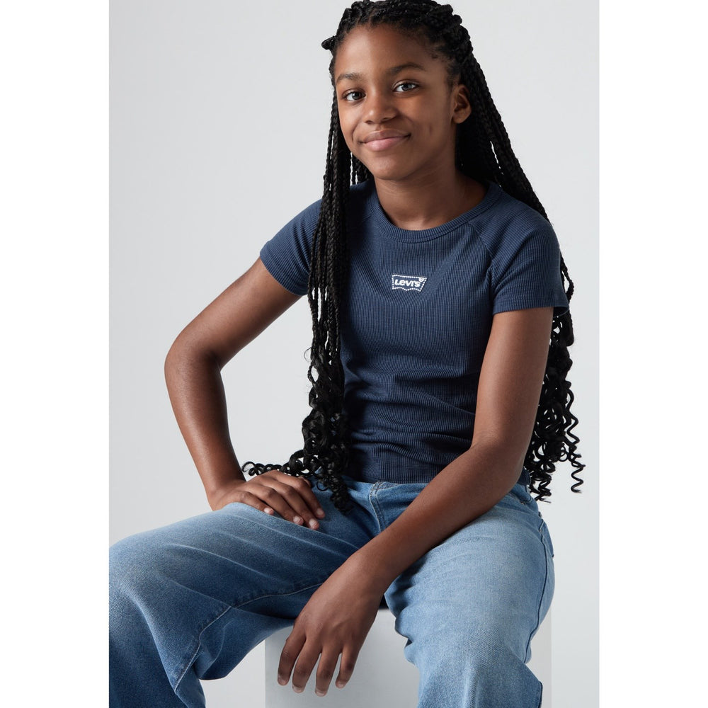 Køb Levi's Big Dipper Farve Block Raglan Top