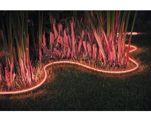 Philips hue LED strip lightstrip voor buiten IP67 RGBW 37,5W 1600 lm L 5 m - compatibel met alle SMART HOME van hornbach