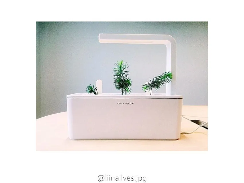 Click & Grow Experimental, Prydplante, Genopfyldning, 18 - 35 °C, 3 stk