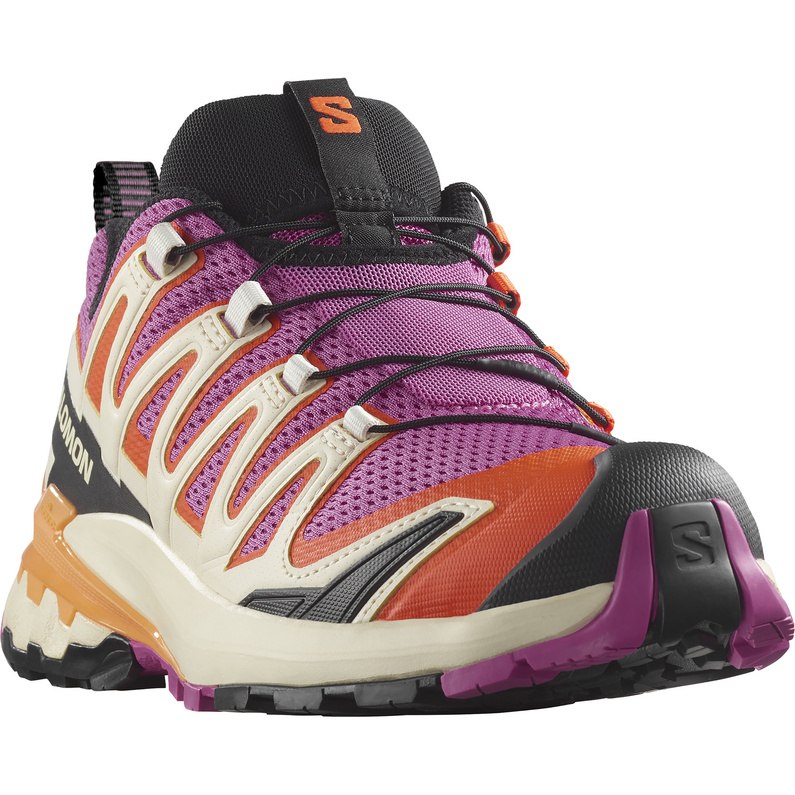 Salomon XA Pro 3D V9 Schuhe