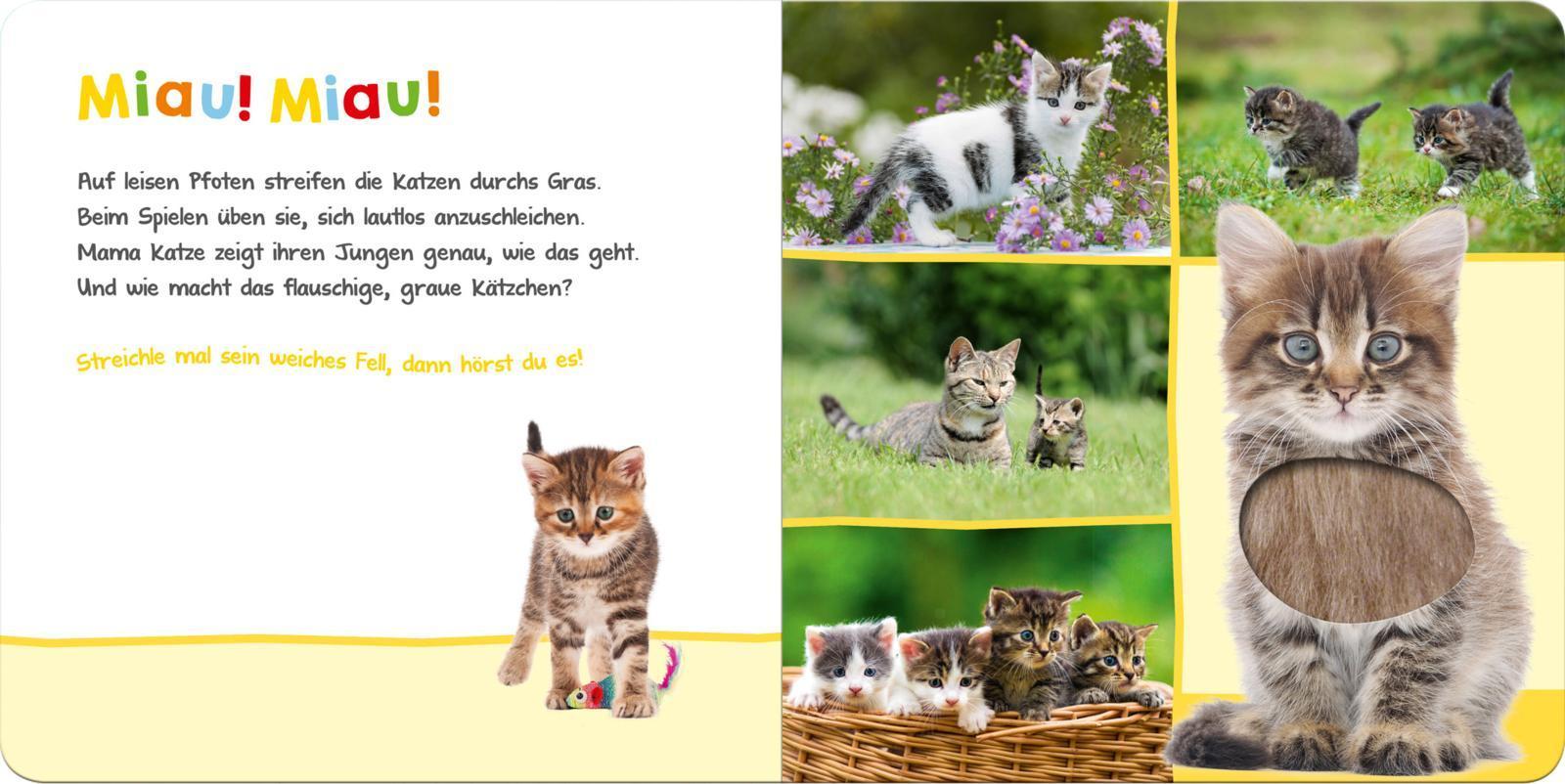 Hör mal rein, wer kann das sein? - Lieblingstiere