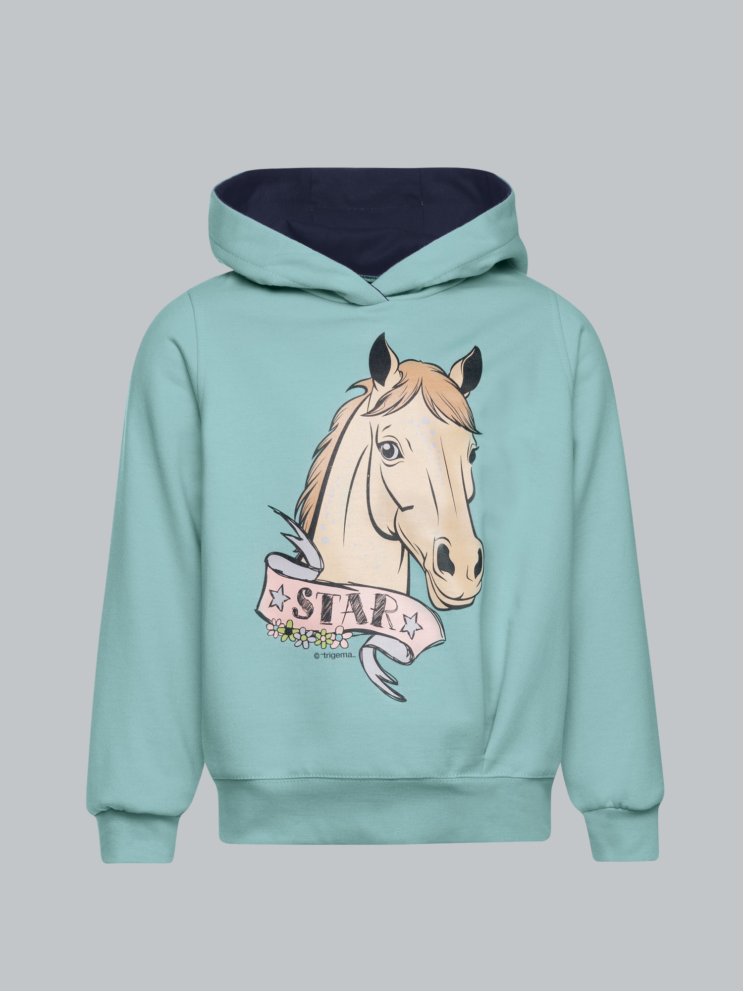 Hoodie mit großem Pferde-Printmotiv Gletscher