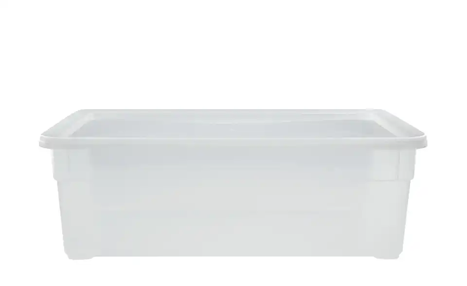 Rotho Aufbewahrungsbox mit Deckel 33 cm