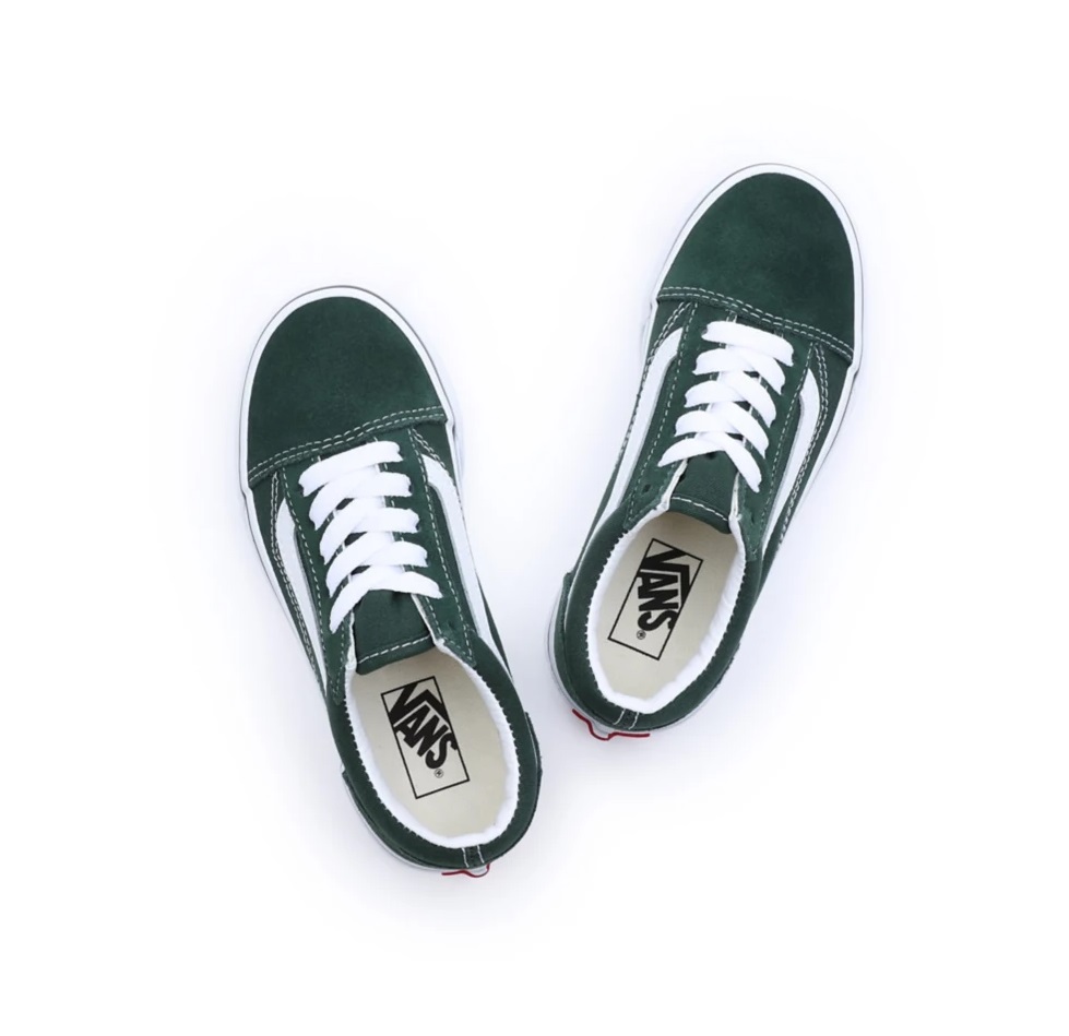 Vans Youth Old Skool Mountain View 13.5 US / 31 EU