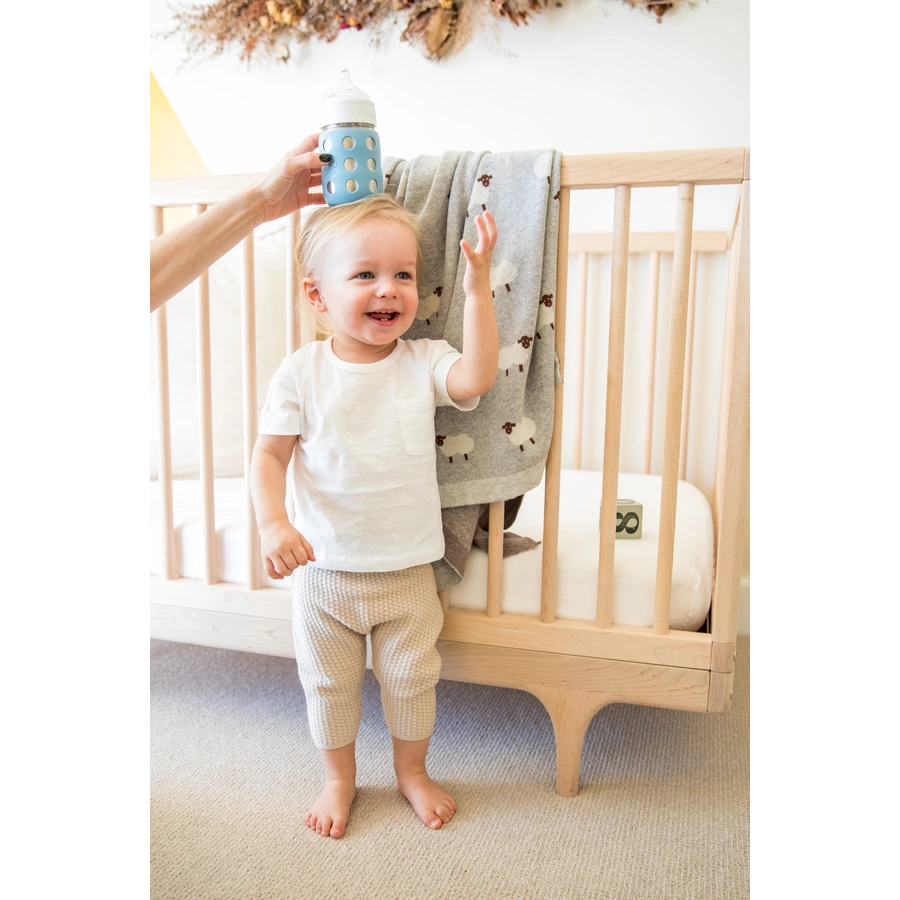 lifefactory Silikonsauger Gr. 2 für Baby-Weithalsflaschen, 3-6 Monate