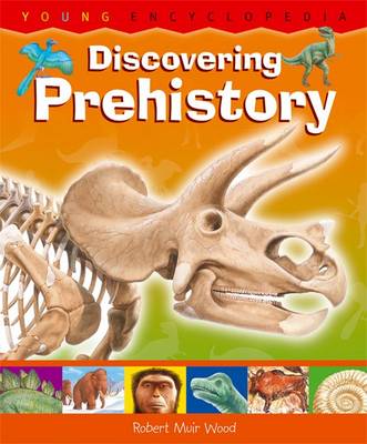 Discovering Prehistory: Young Encyclopedia (Hardback)