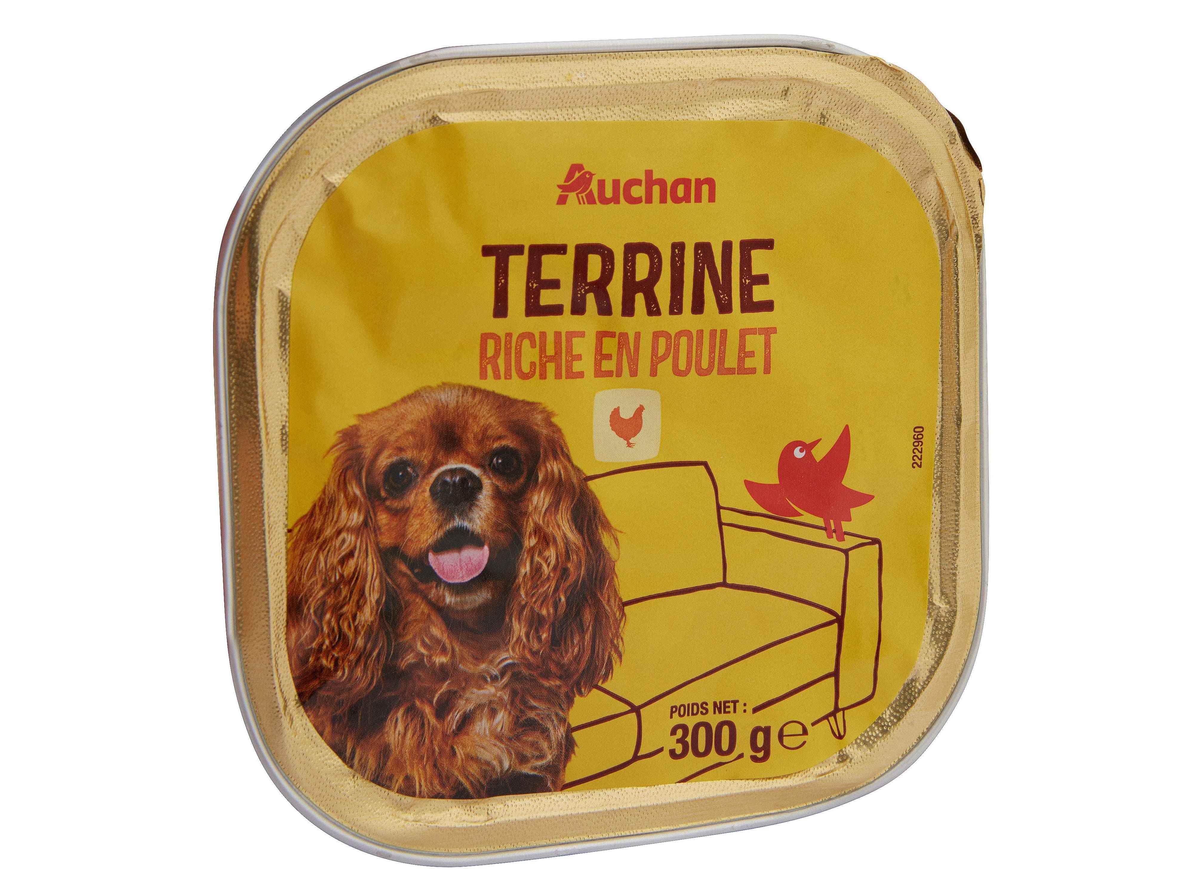 COMIDA HÚMIDA PARA CÃO AUCHAN TERRINA RICO EM FRANGO 300G