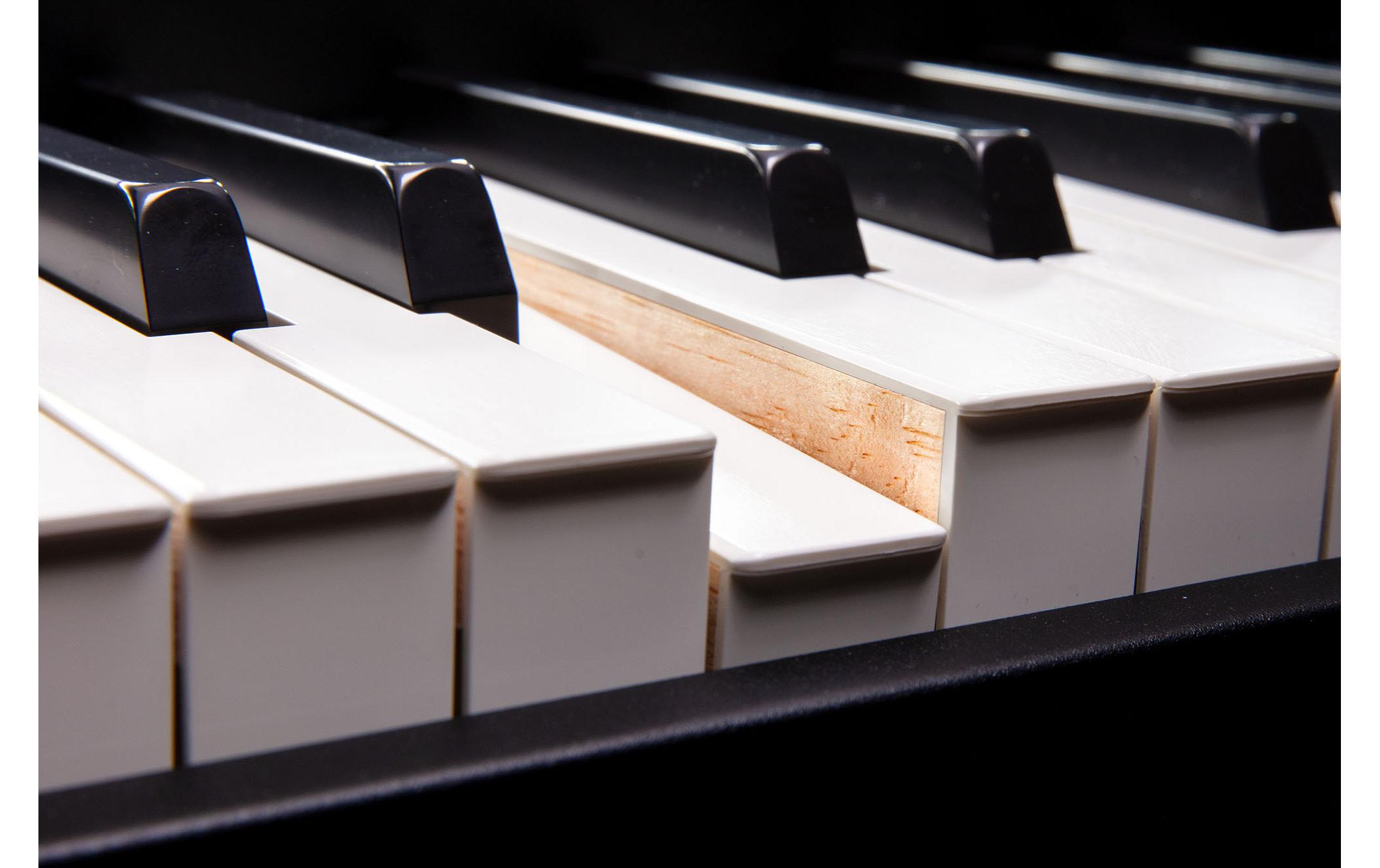 Workstation FANTOM 8 EX<br>Synthesizer-Topmodell mit intuitiver kreativer Bedienung, diversen Roland Soundtechnologien und einer Hammermechanik-Tastatur mit 88 gewichteten Tasten