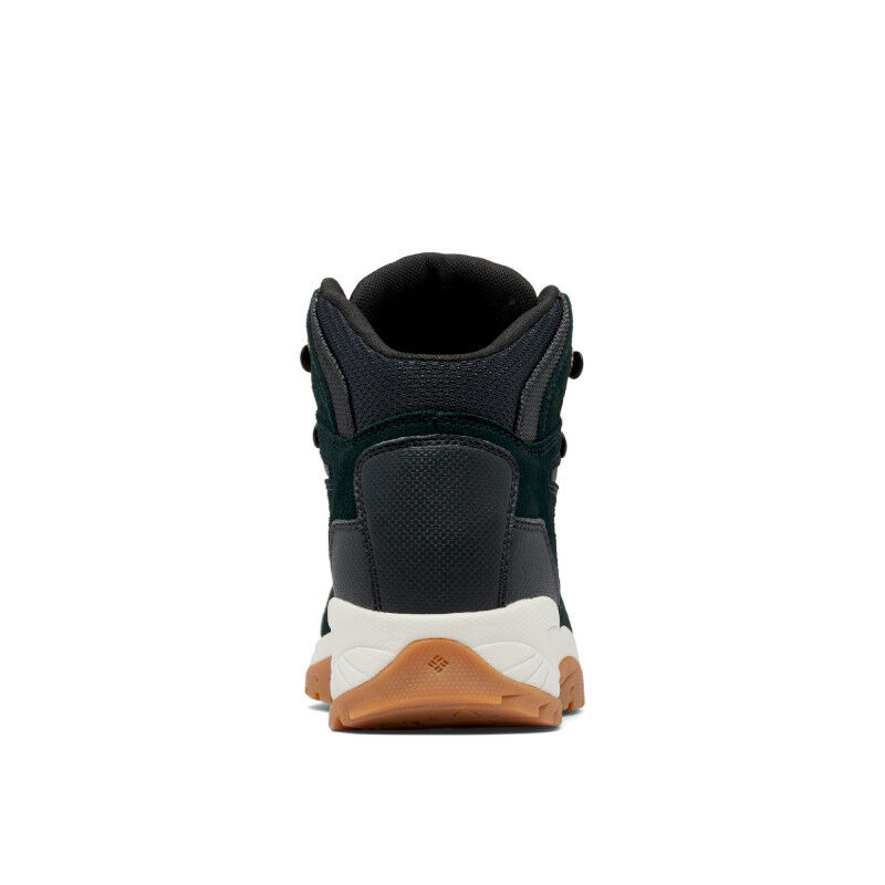 Newton Ridge Plus Waterproof Amped - Chaussures randonnée femme