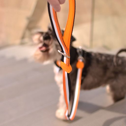 Guia para cães Dashi Stripes em poliéster laranja e preto