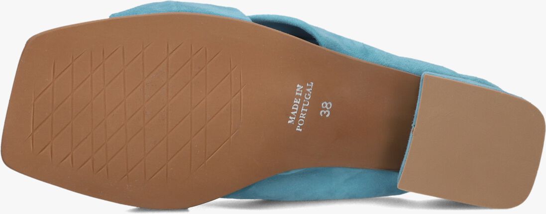 blauwe lina locchi muiltjes l1407