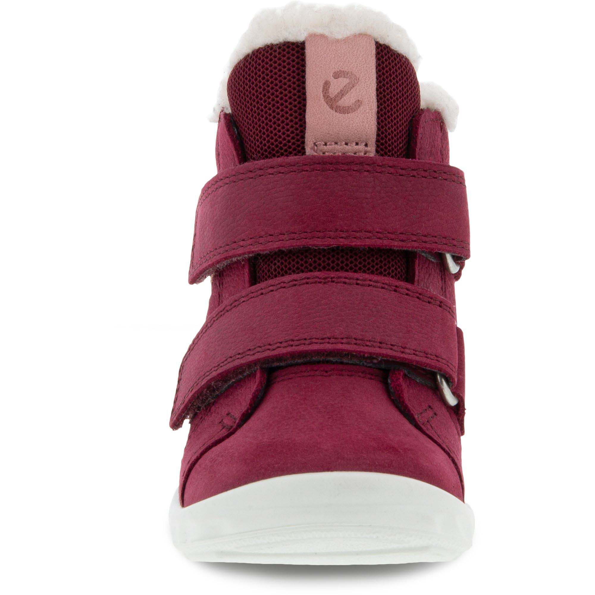Ecco724181 SP1 Lite