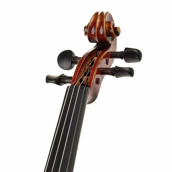 Gewa Maestro 2 Violin Set 4/4 OC CB