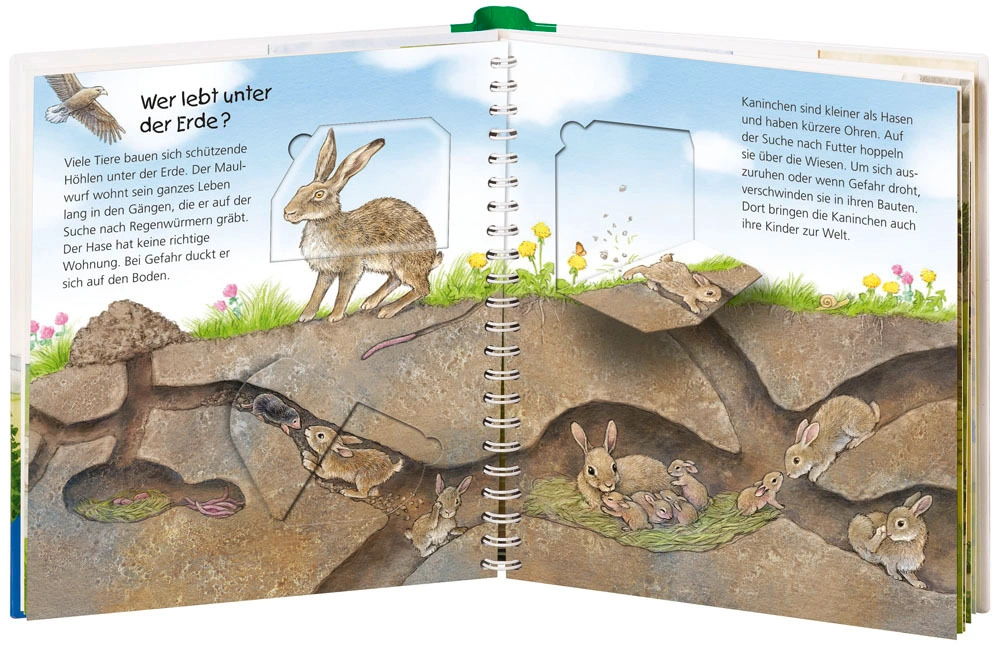 Wo die Tiere wohnen / Wieso? Weshalb? Warum? Junior Bd.46