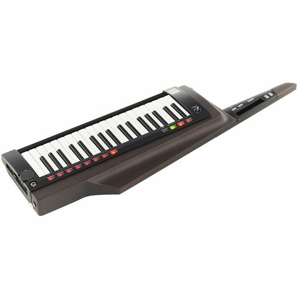 Korg RK-100S 2 Black