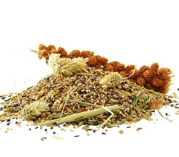 Dehner Best Nature Vogelfutter für Kanarien