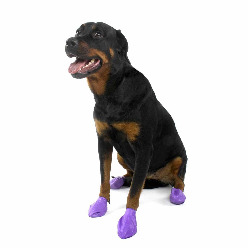 PAWZ - Hundesko L - Lilla