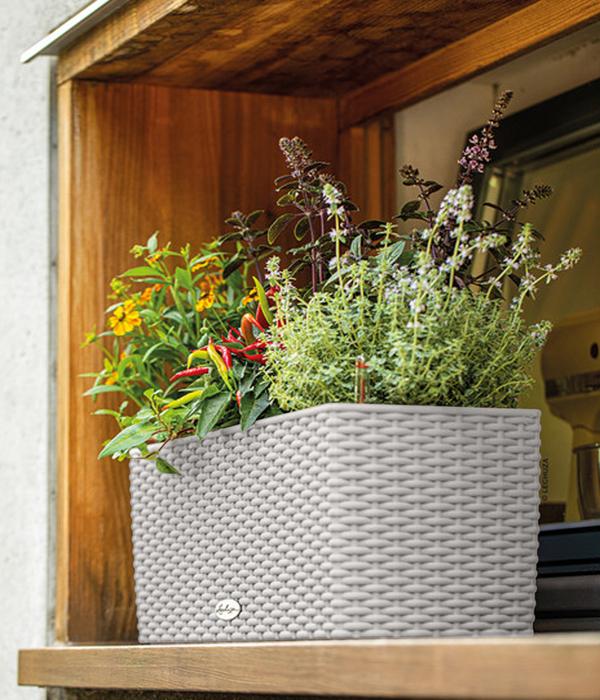 LECHUZA® Kunststoff-Kasten Balconera Cottage,