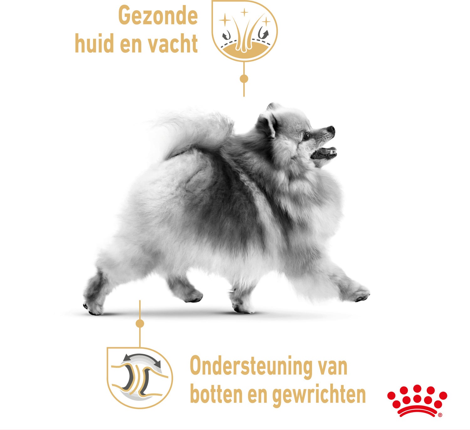 Royal Canin hondenvoer Pomeranian adult 1,5 kg