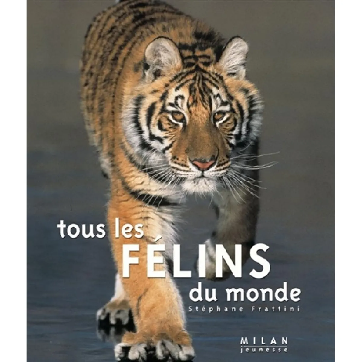 Tous les félins du monde · Occasion