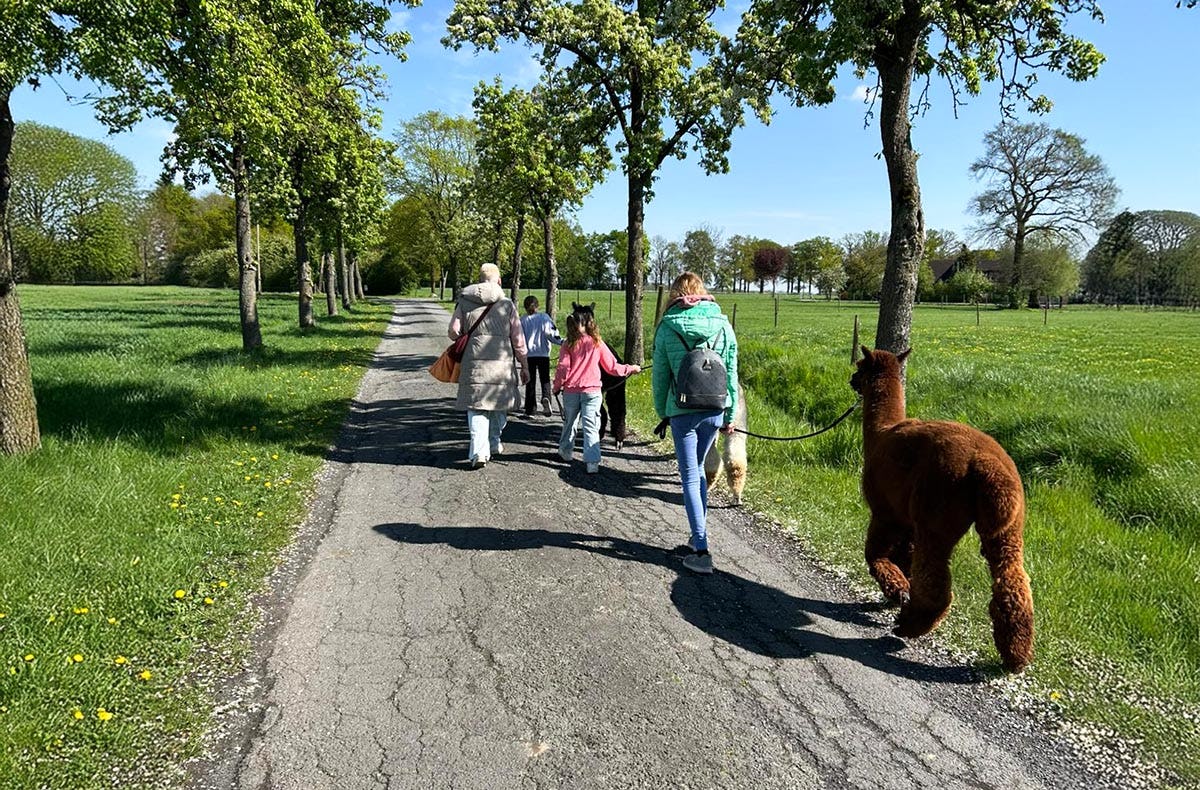 Alpaka Wanderung Ennigerloh
