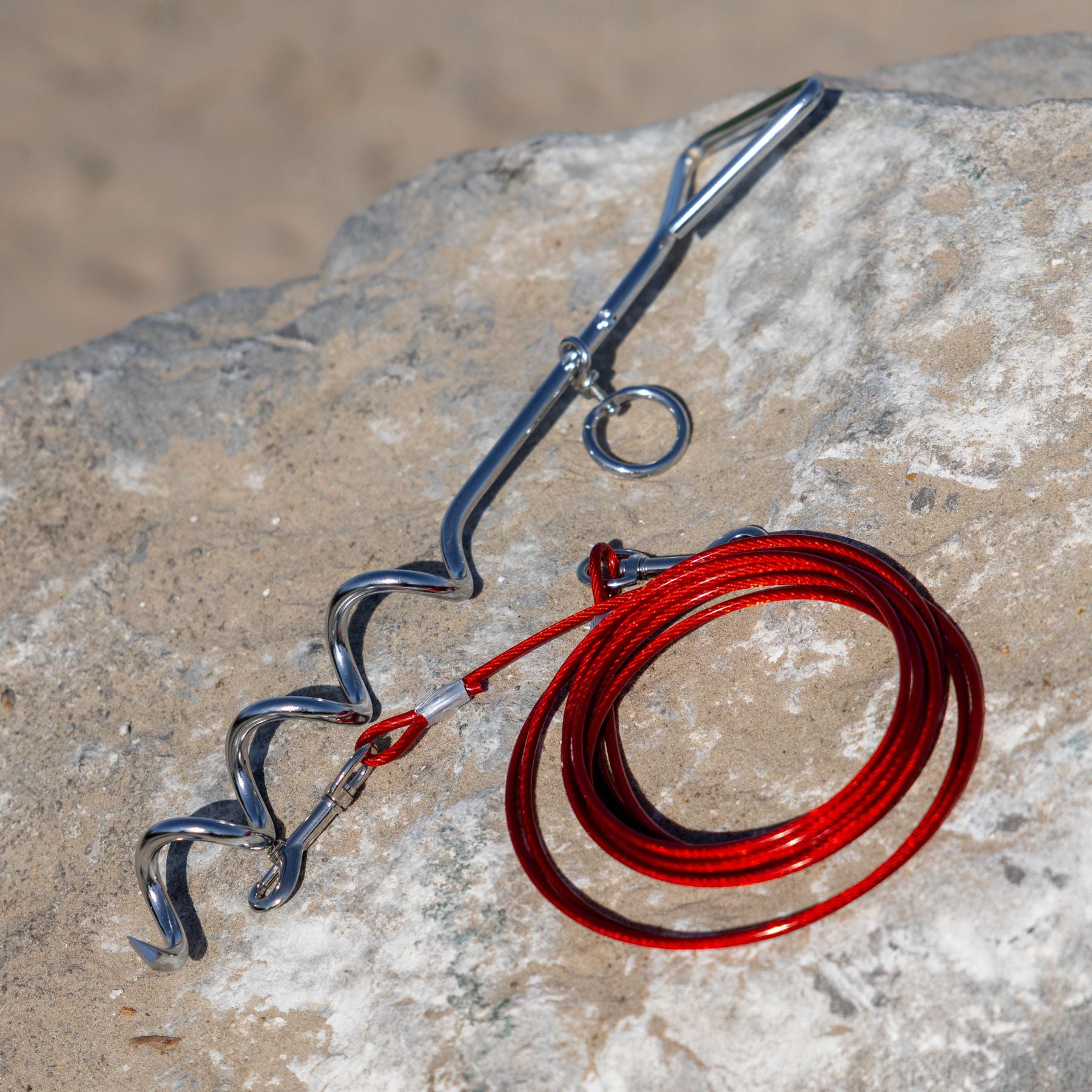 EveBase hondenriem met 4 meter kabel